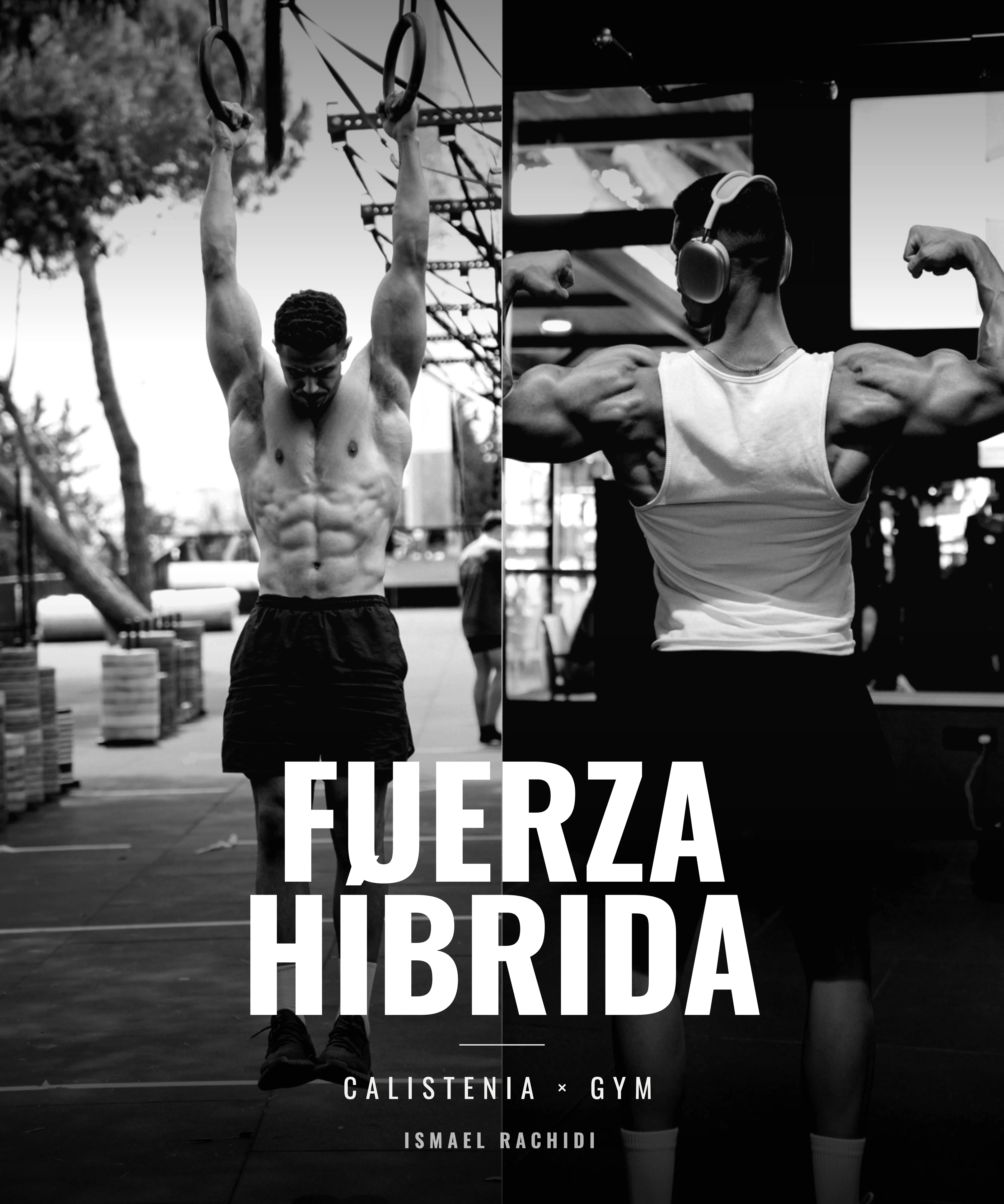 Ebook Fuerza Híbrida